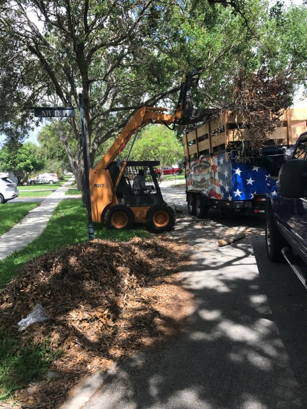 A residential truck is parked in front of a tree.